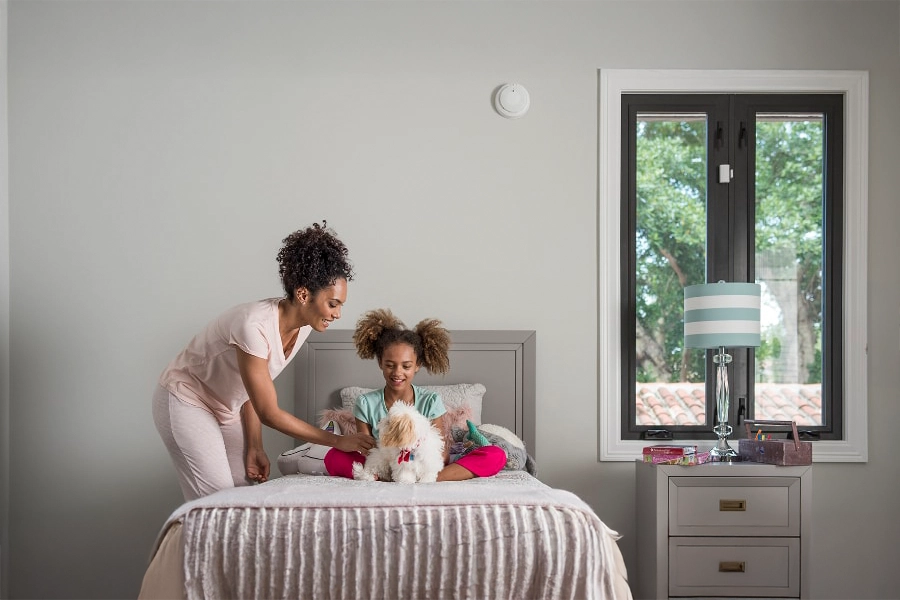 smoke & carbon detector Blacksburg